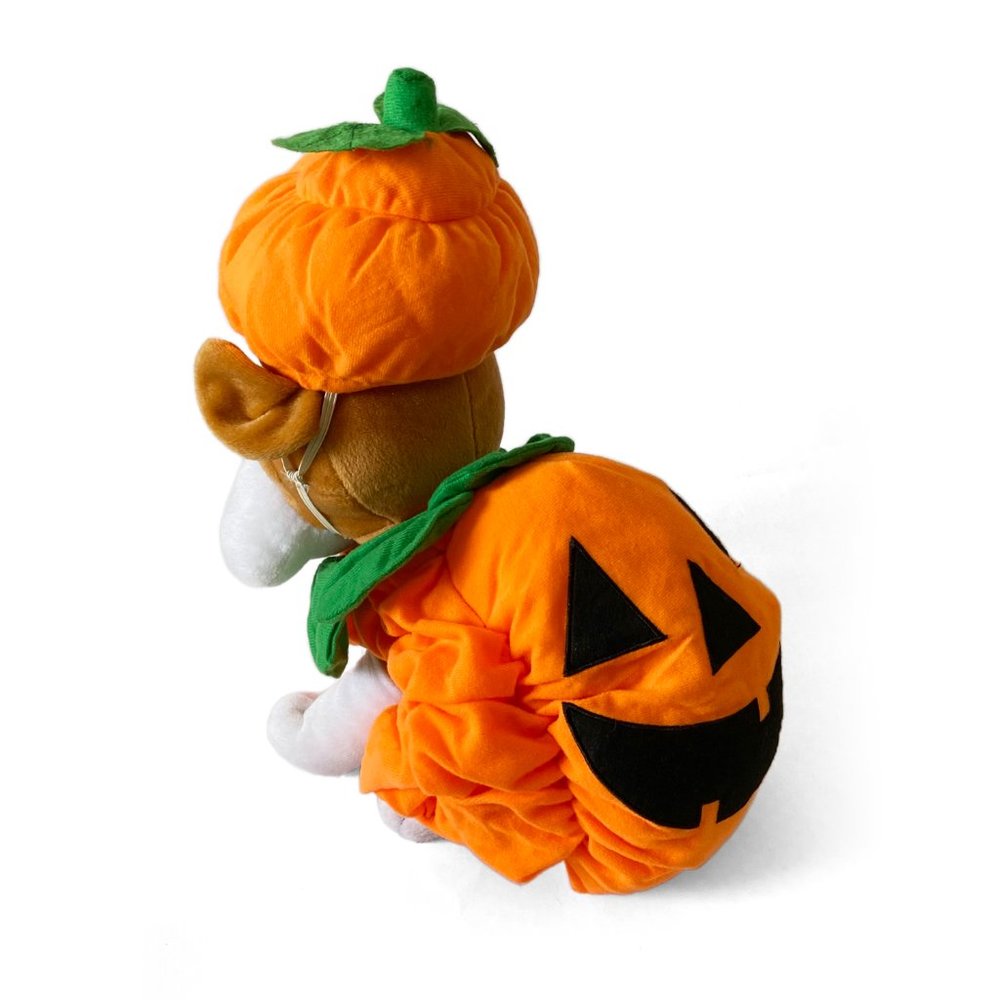 NWT Jack-O-Lantern Pumpkin Halloween Costume for Small Dogs - Picture 3 of 3